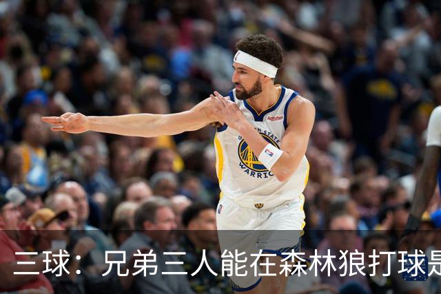 三球：兄弟三人能在森林狼打球是梦想成真 到时让大球打控卫