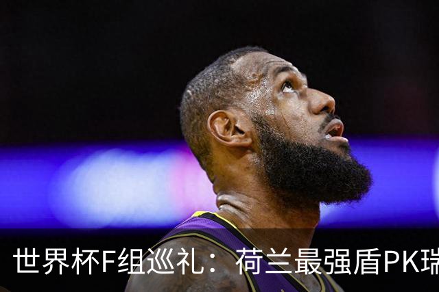世界杯F组巡礼：荷兰最强盾PK瑞典犀利刀 日本短板明显