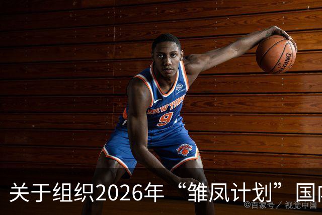 关于组织2026年“雏凤计划”国内选拔总营的通知