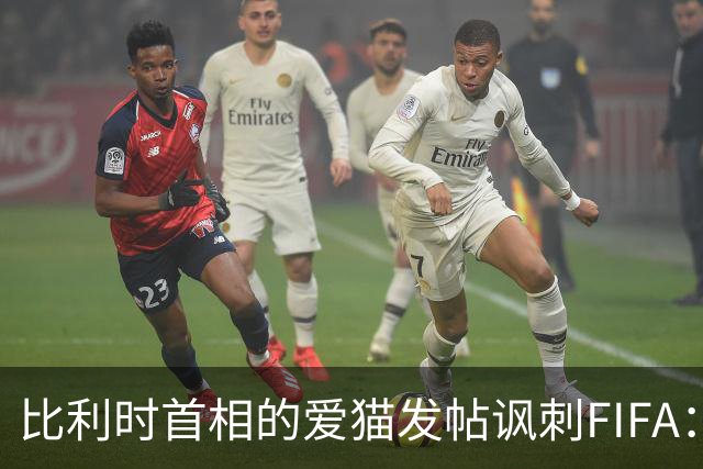 比利时首相的爱猫发帖讽刺FIFA：“红牌？”我照样继续踢！