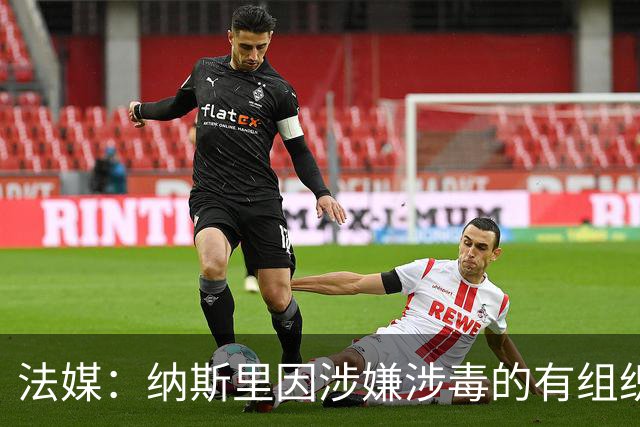 法媒：纳斯里因涉嫌涉毒的有组织洗钱被捕，拘留约10小时后被释